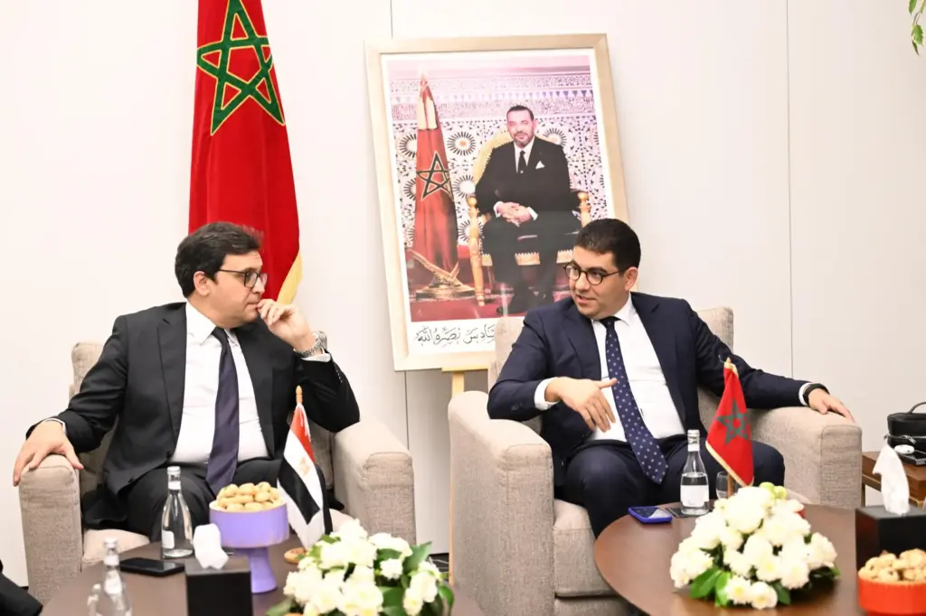 لقاءات ثنائية بين بنسعيد وعدد من نظرائه العرب