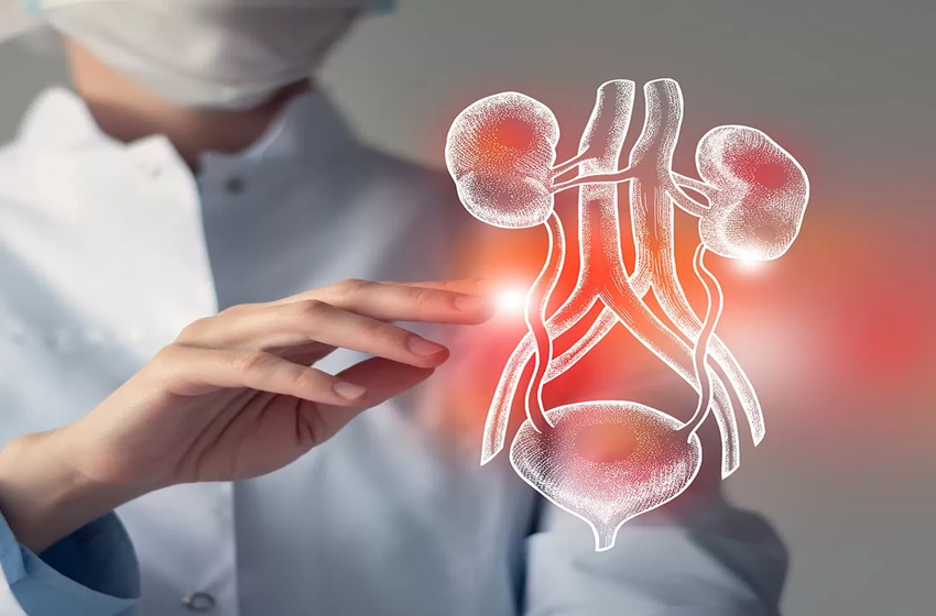 فاس تحتضن المؤتمر الدولي لسرطان الجهاز التناسلي