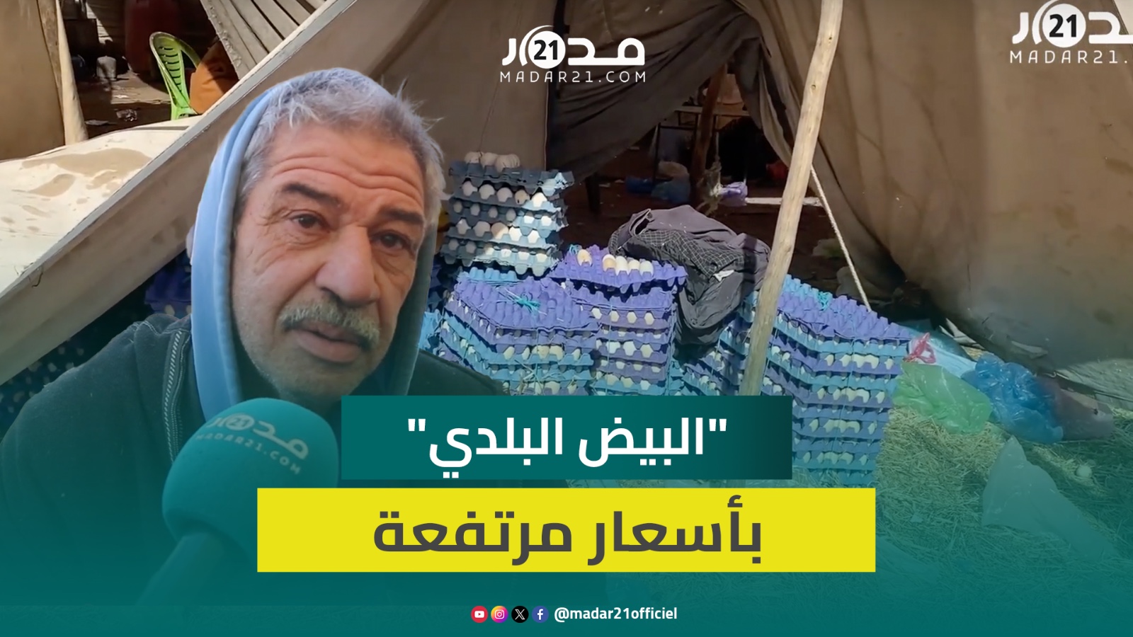 تاجر “البيض البلدي” بسيدي بنور يزيح الستار عن أسباب تراجع إنتاجه وأسعاره بالجملة وهامش الربح فيه