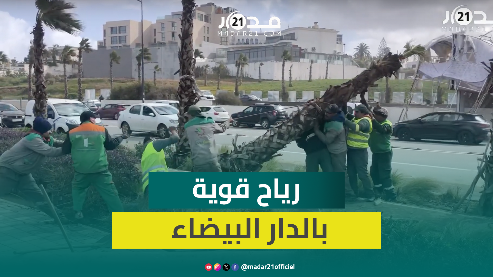 الرياح القوية تجرف النخيل وتكبد أحد أشهر مقاهي الدار البيضاء خسائر جسيمة