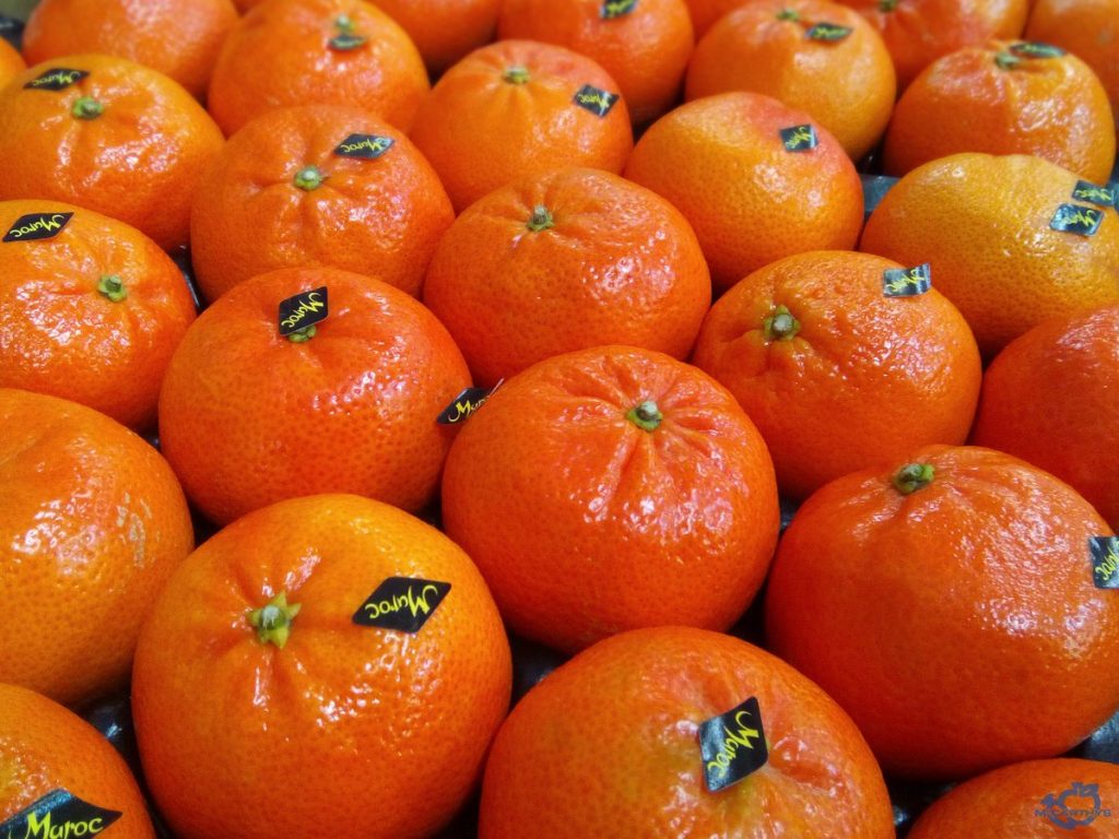 طوره مغربي ويمثل 50% من صادرات الحمضيات.. مندرين “الناضوركوت” يلفت الأنظار ببرلين