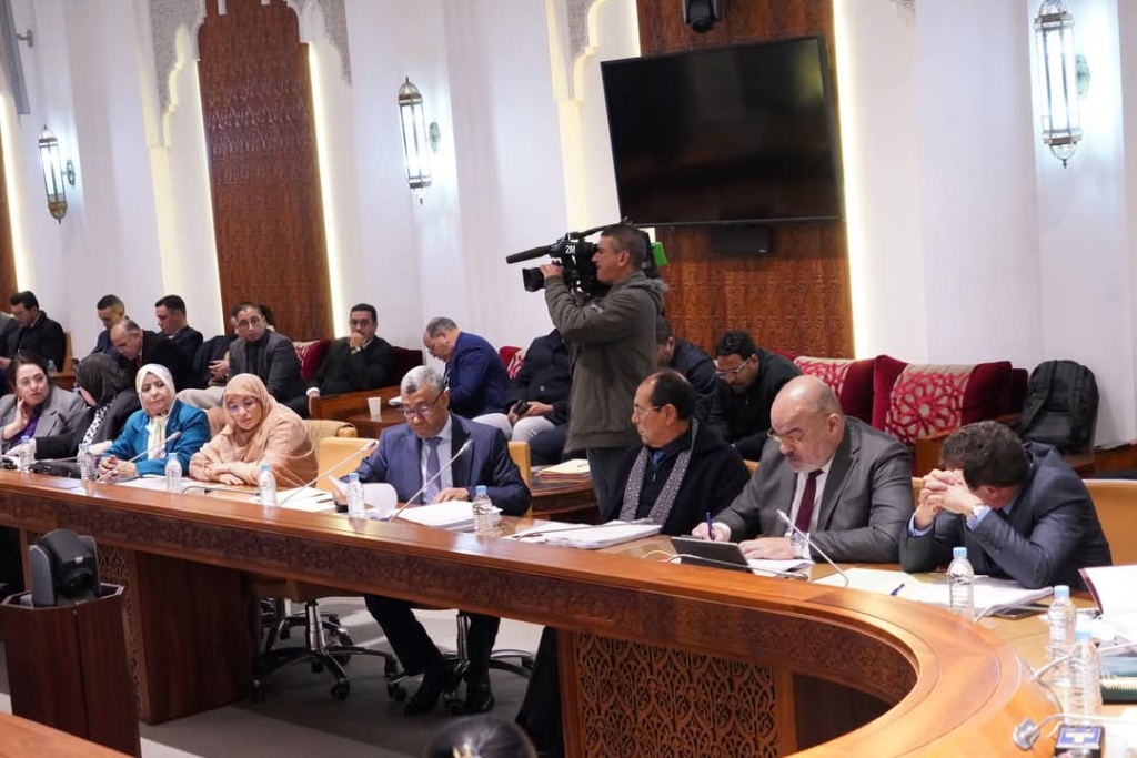 بووانو يدعو لسد ثغرات المسطرة الجنائية وعدم تقييد الجمعيات