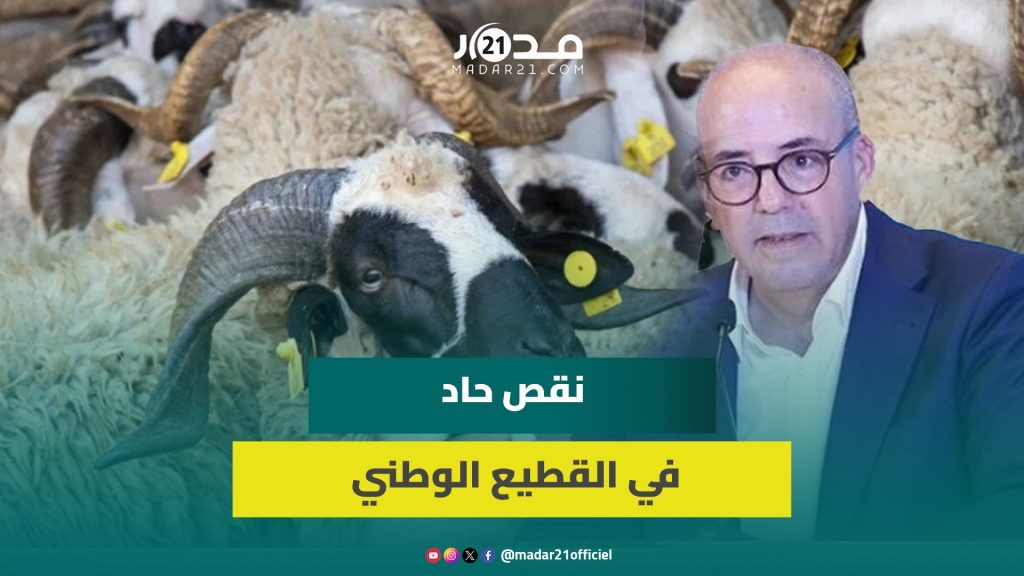 وزير الفلاحة: تراجع القطيع الوطني بنسبة 38% مقارنة بعام 2016 وارتفاع ملحوظ في الاستيراد