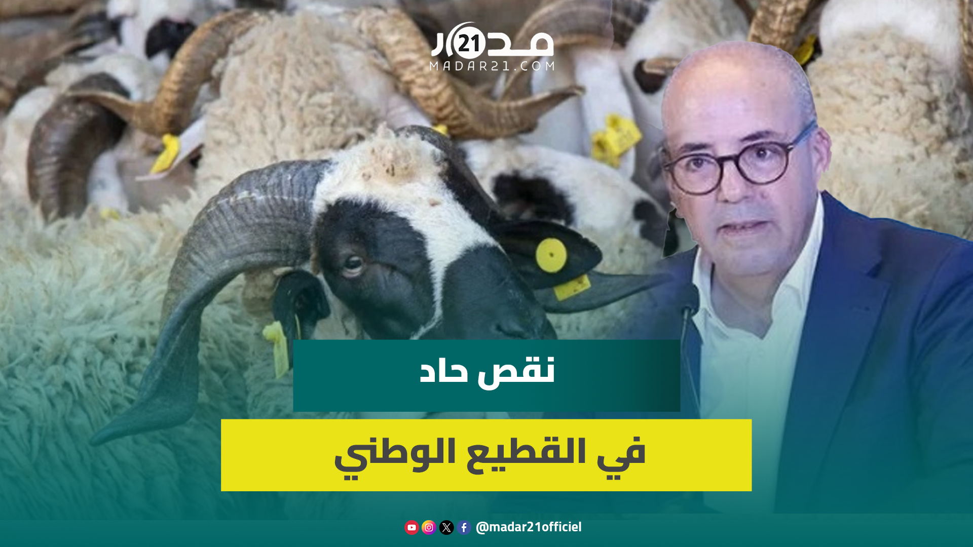 وزير الفلاحة: تراجع القطيع الوطني بنسبة 38% مقارنة بعام 2016 وارتفاع ملحوظ في الاستيراد