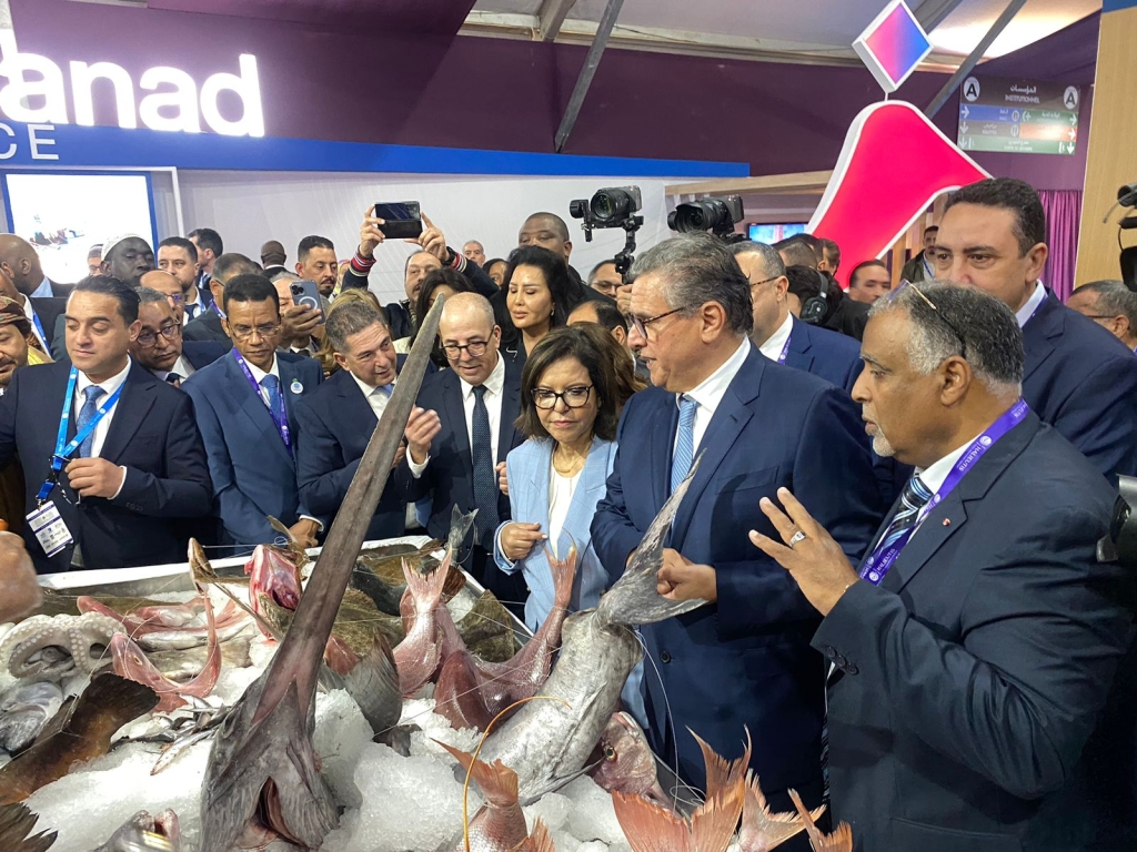“أليوتيس” يسجل رقما قياسيا في عدد الزوار