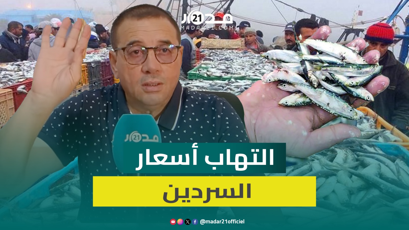 من 3 إلى 20 درهما.. هيئة لحماية المستهلك تستنكر الهوة بين سعر الجملة والسعر النهائي للسردين