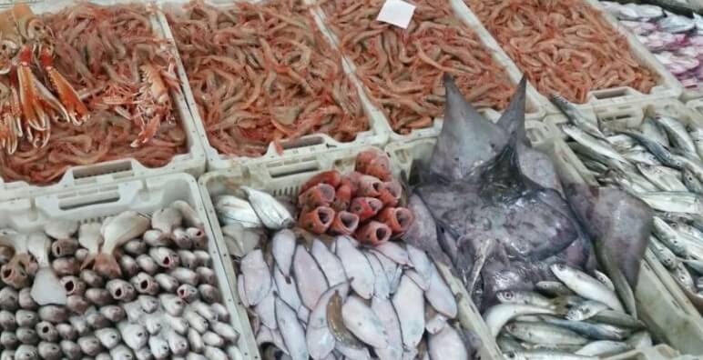 الدريوش تؤكد توفر المغرب على 10 أسواق لبيع الأسماك بالجملة وتعد بهيكلة التوزيع