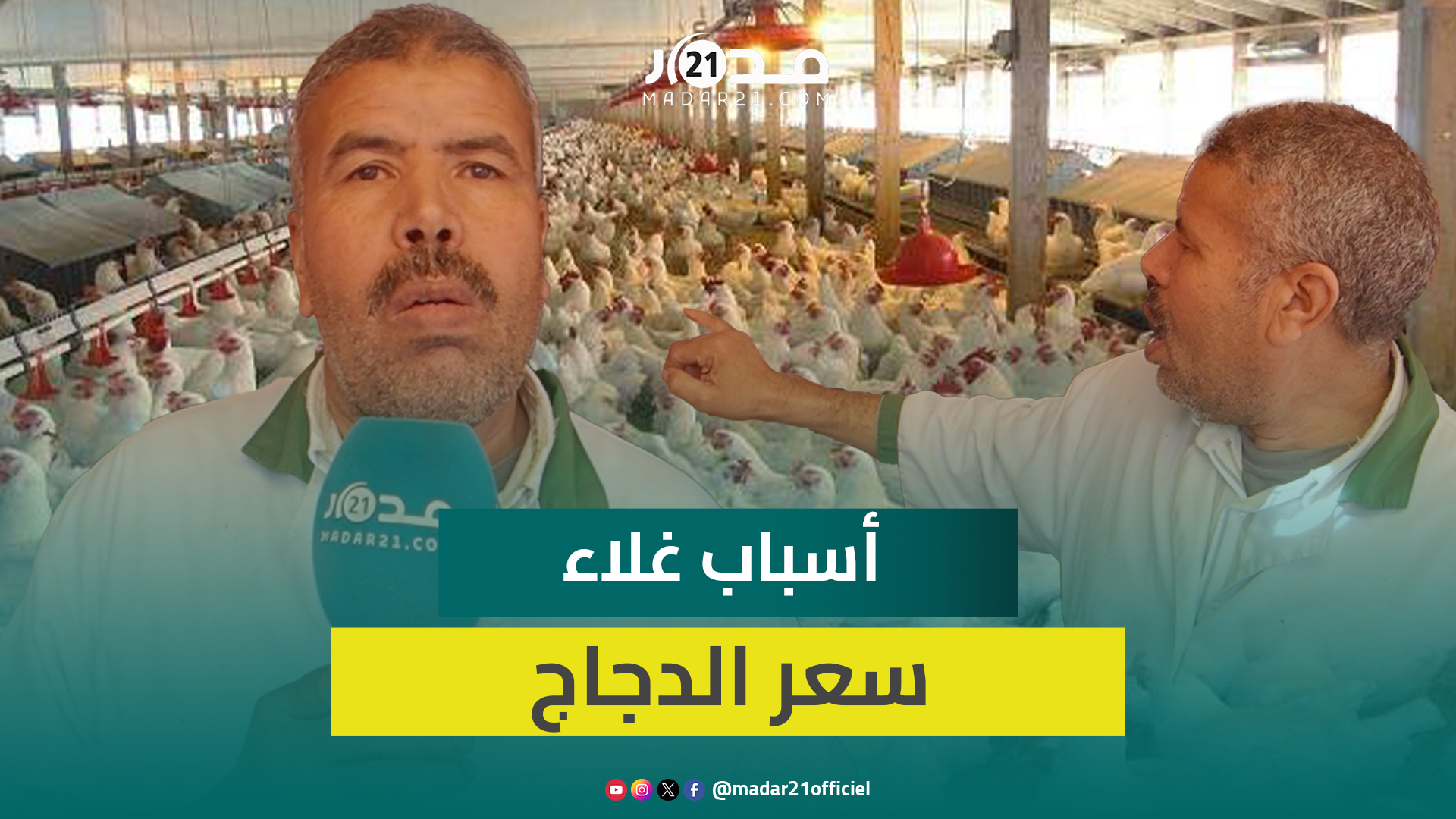 مهني: أسعار الدجاج ما تزال مرتفعة وانخفاضها مرتبط بسعر اللحوم الحمراء وينبغي تشديد المراقبة