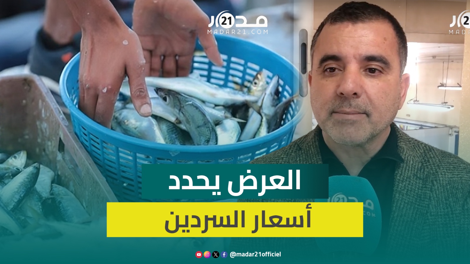 مسؤول يوضح جدل أسعار السردين: العرض يحدد الأثمان والسردين يصل بـ3 دراهم والتكاليف تضاعف سعره