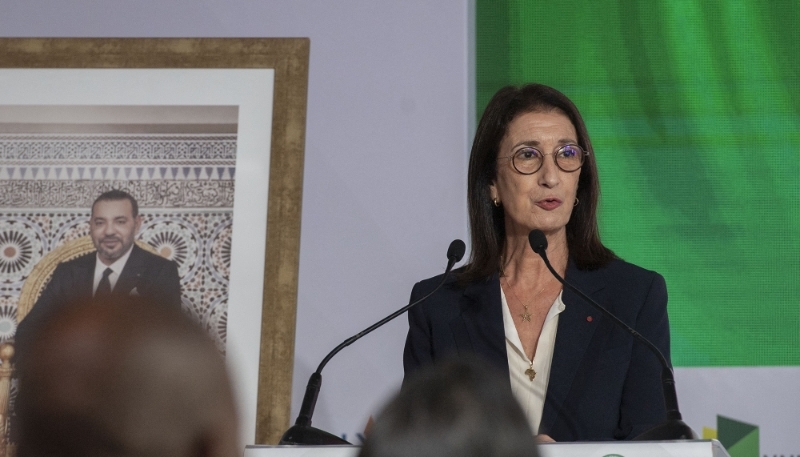 بنخضرة تستعرض تقدم إنجاز أنبوب الغاز المغربي النيجيري