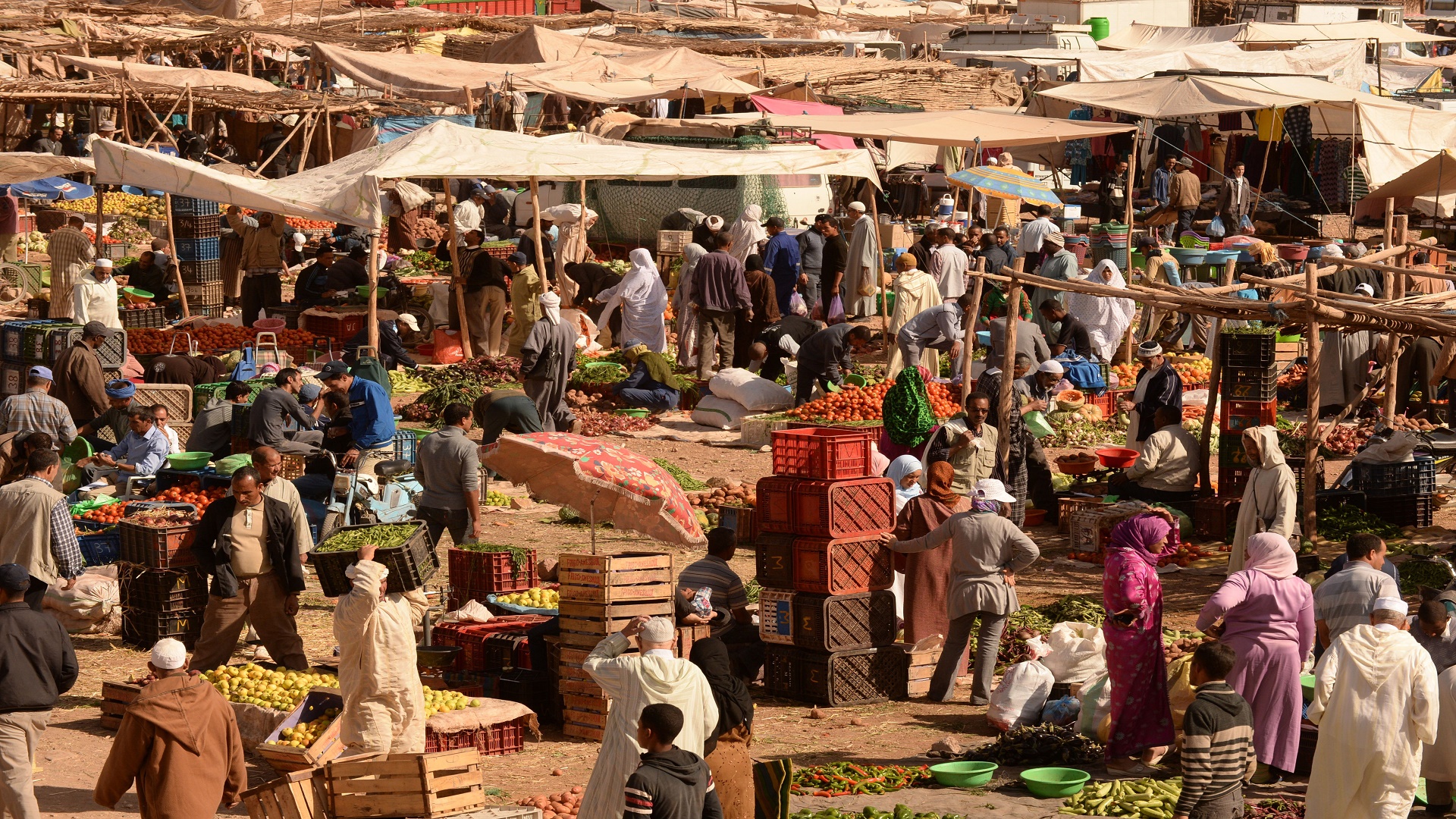 بعد فوضى سوق “رباط الخير”.. هل بات الغلاء يهدد استقرار الأسواق؟