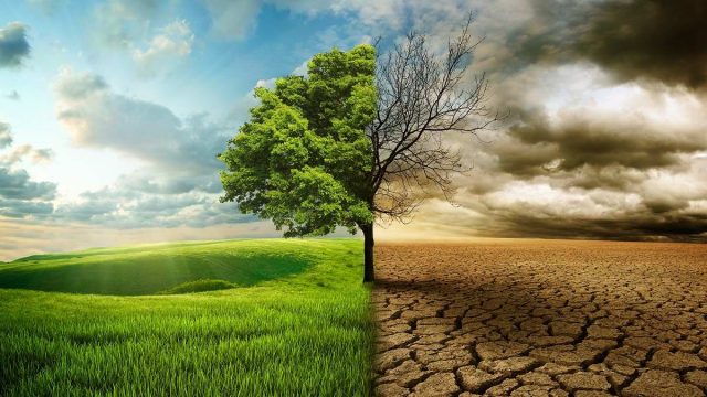 دراسة تكشف تأثير التغيرات المناخية