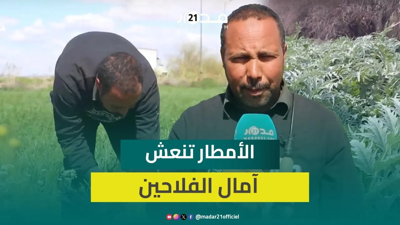 الأمطار تنعش الآمال.. فلاح: جاءت في وقتها وستنعكس بالنفع على الماشية وعلى الزراعات الربيعية