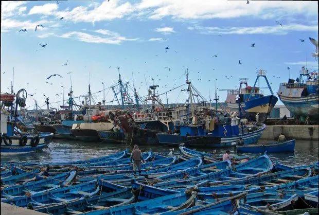 ارتفاع مفرغات الصيد بـ9% بموانئ شمال المغرب