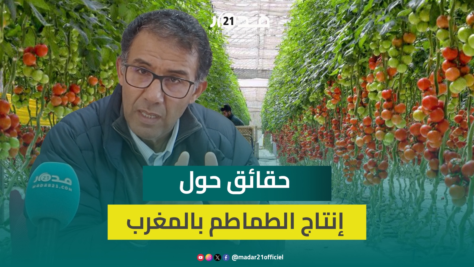 منتجو الخضر يتبرأون من الغلاء ويؤكدون: سعر الطماطم بسوق إنزكان يبدأ من 3 دراهم