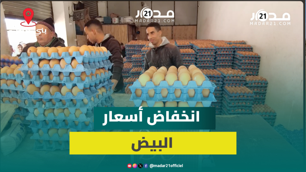 درهم واحد في عدد من المحلات.. أسعار البيض تنخفض ببني ملال وتاجر يكشف الأسباب
