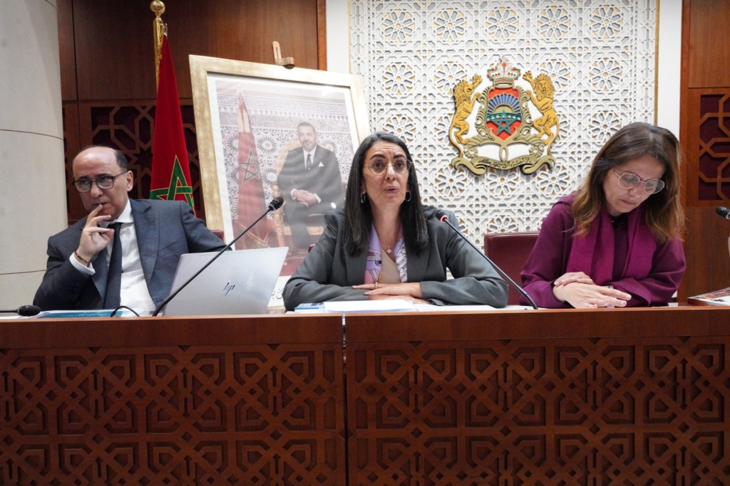 فتاح: استدامة تمويل ورش الحماية الاجتماعية تتطلب تخفيض الكلفة