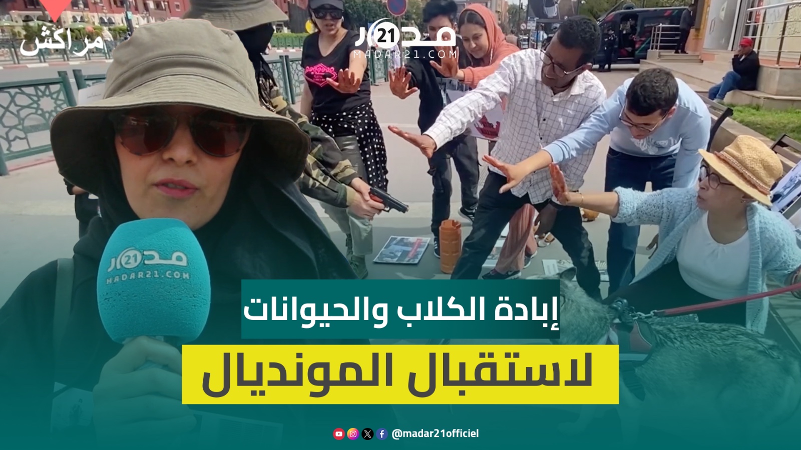 احتجاجات ضد إبا.دة الجماعات للكلاب والقطط استعداد لاستضافة مونديال ومطالب بالتلقيح والتعقيم
