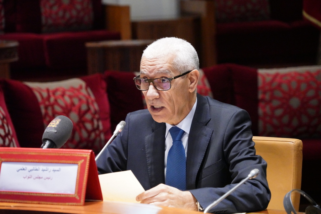 الطالبي: تكوين الشباب سياسيا مهم ودور الأحزاب حاسم في الاستقرار