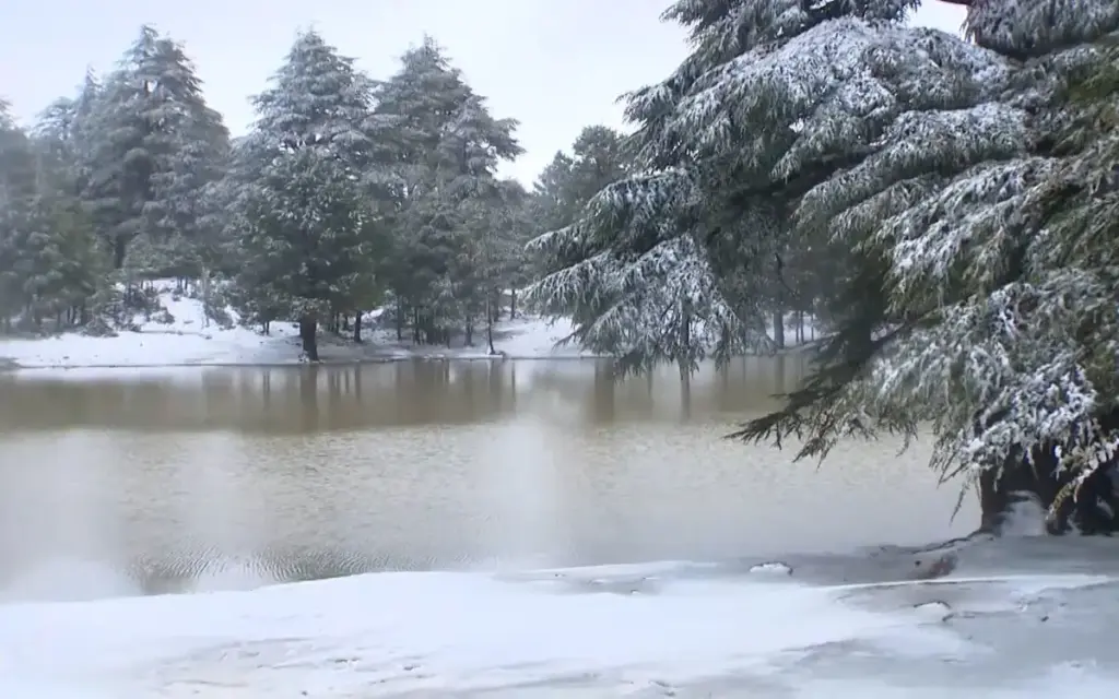 الثلوج تُعيد الحياة إلى غابات الأرز بتيزي إيفري