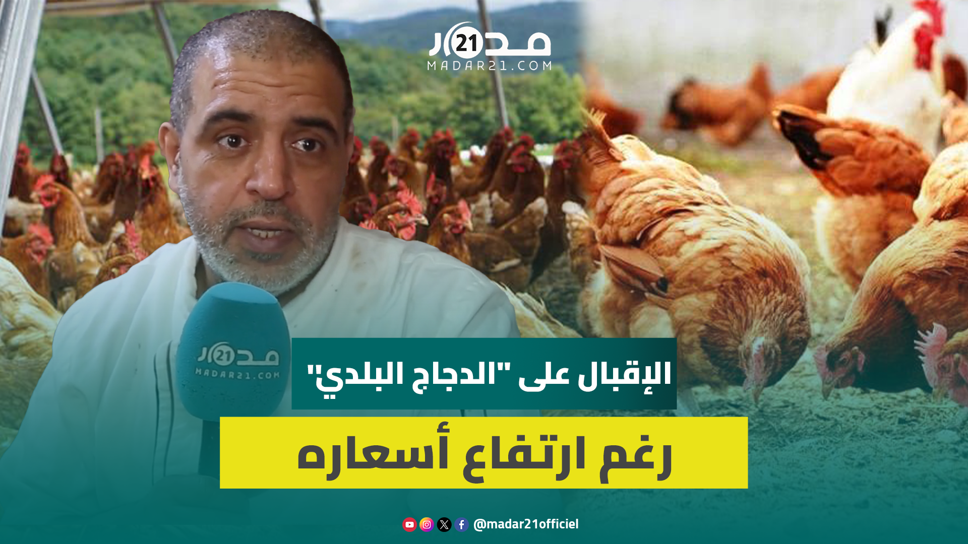 ثمن الكيلوغرام الواحد بـ70 درهما.. مغاربة يقبلون على اقتناء “الدجاج البلدي” في ليلة الـ27
