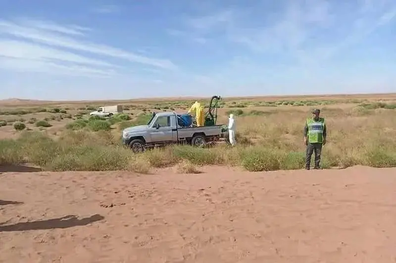 المغرب يرصد أسرابا من الجراد ويؤكد توفره على المبيدات الكافية لمواجهتها