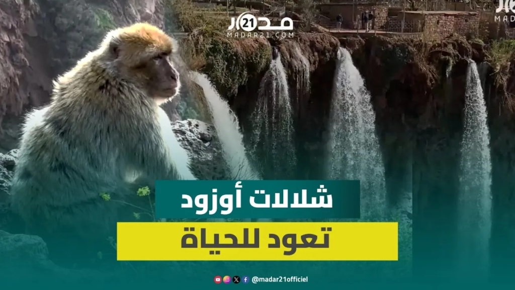 جوهرة طبيعية تنبض بالحياة.. التساقطات تحيي شلالات أوزود
