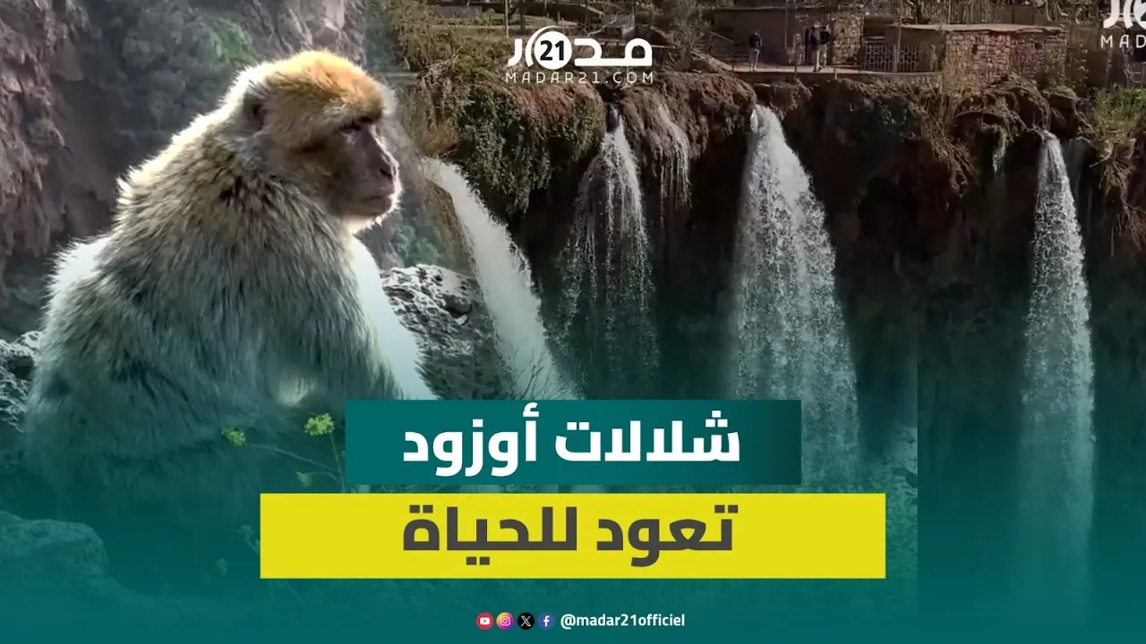 جوهرة طبيعية تنبض بالحياة.. التساقطات تحيي شلالات أوزود