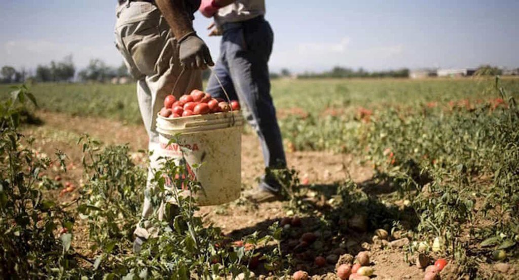 مقترح يدعو لتوحيد نموذج وشروط عقود الشغل بين المغاربة والأجانب