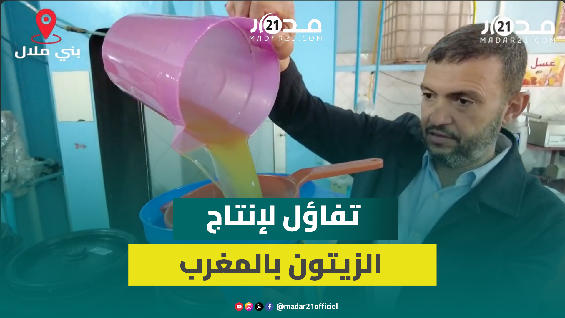 الأمطار تبشر بإنتاج وافر لشجر الزيتون ببني ملال والجودة تحدد أسعار البيع