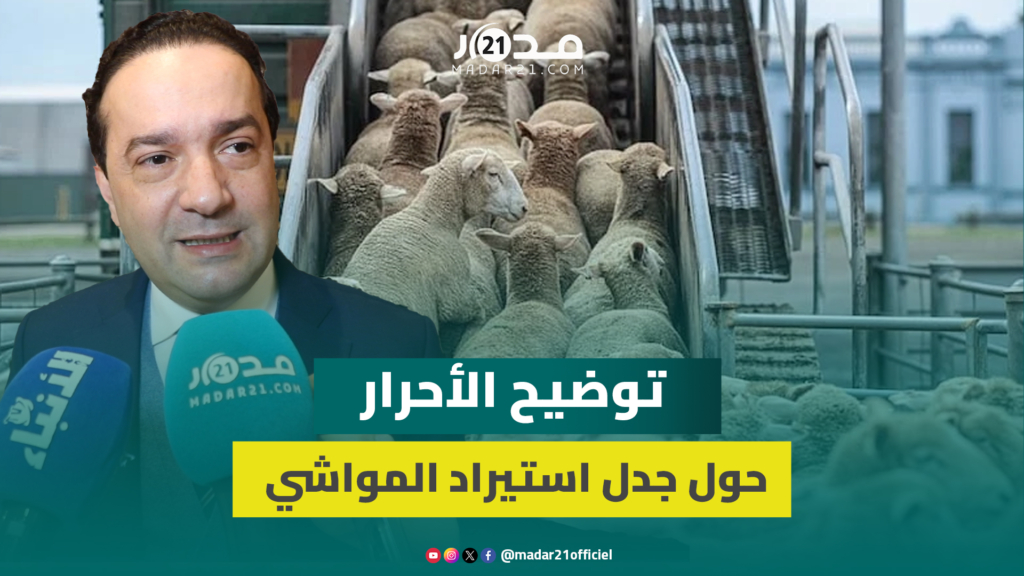 شوكي: جدل دعم الماشية انتهى مع قانون المالية والأمر لا يستدعي لجنة تقصي الحقائق ونتفق مع بركة