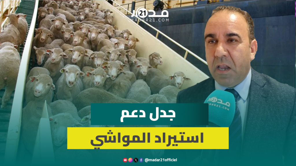 دعم المواشي.. رئيس لجنة القطاعات الإنتاجية: النقاش صحي وسنفعل مهامنا الرقابية والأرقام غير متضاربة