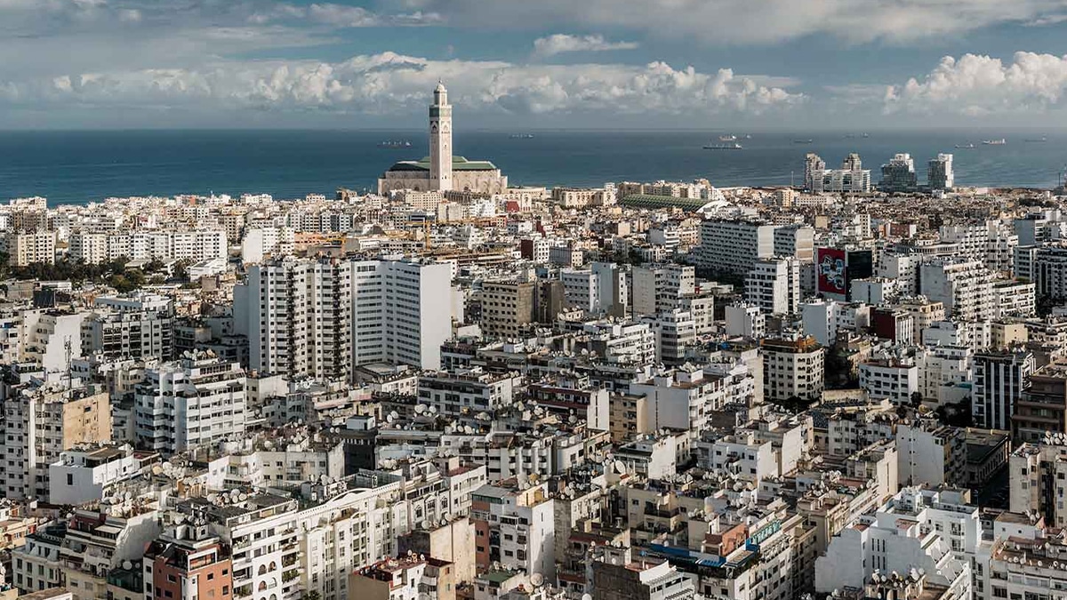 فنون الخط والإحياء بندوة دولية بالبيضاء
