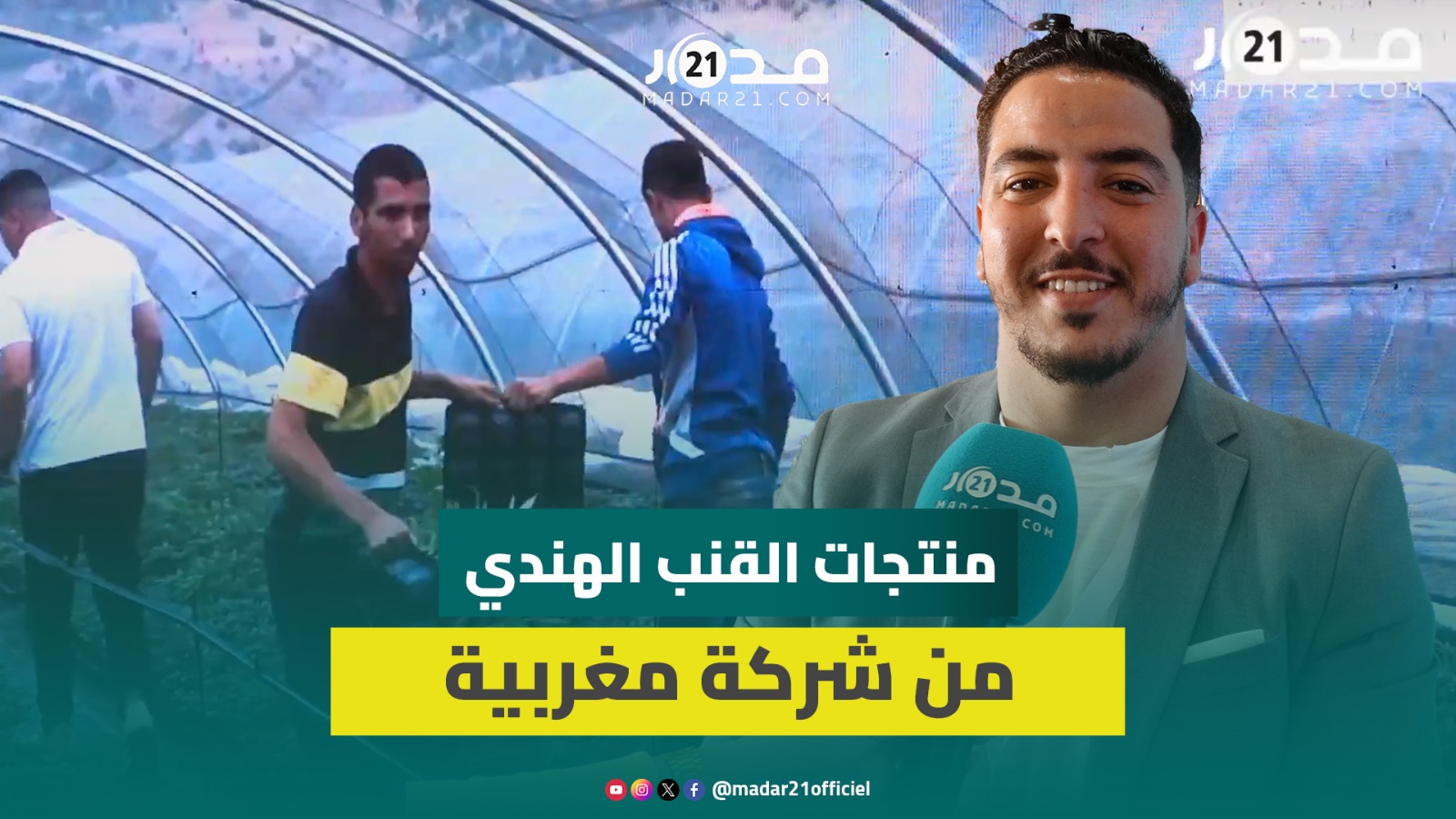 “موروكو كانا.. شركة تسوق منتجات القنب الهندي بالمغرب وعينها على أوروبا وأمريكا