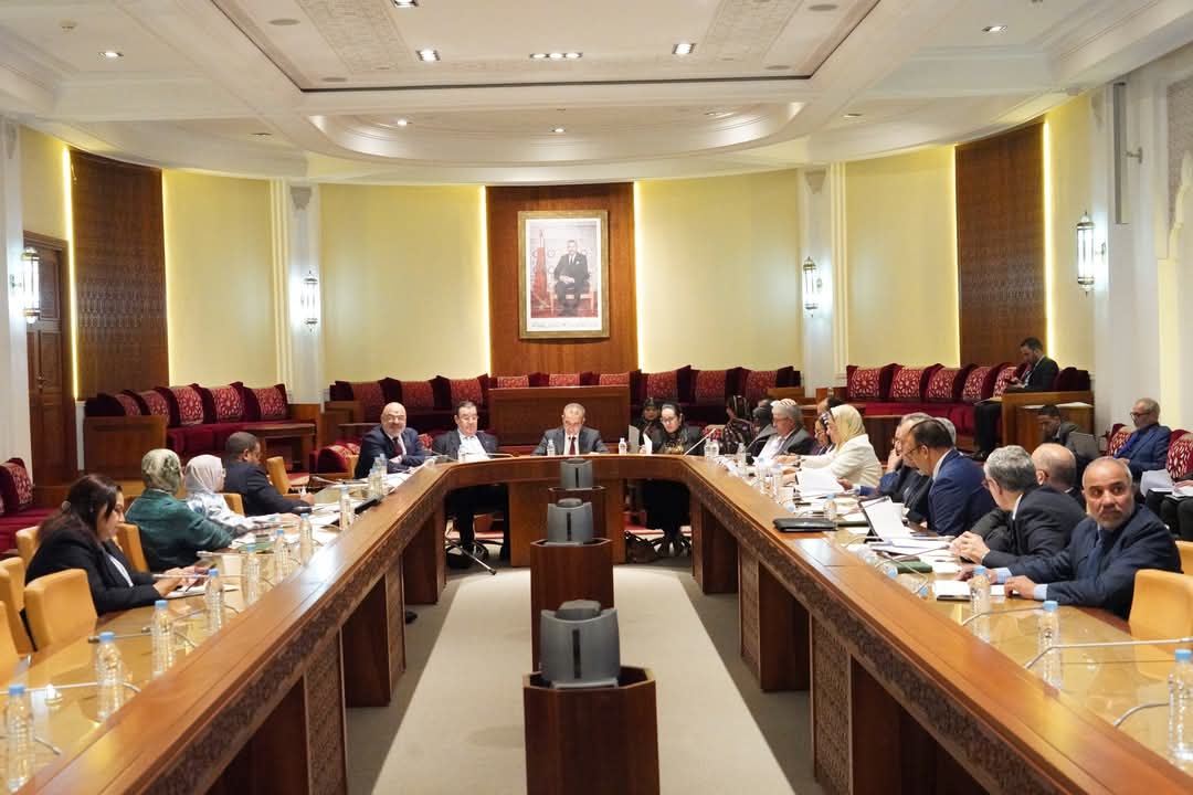 منع مزدوجي الجنسية من الاستوزار وفرض بيع الممتلكات يثير جدلا