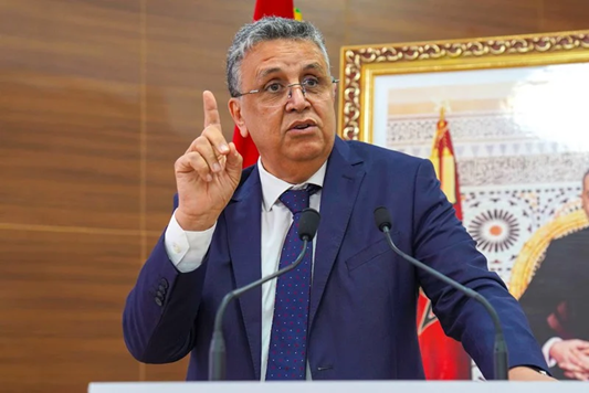 وهبي: العدالة البيئية ركن أساسي بمنظومة العدالة الشاملة بالمغرب
