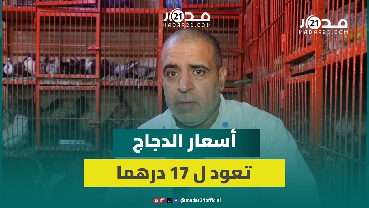 أسعار الدجاج تعود ل17 درهما بمراكش.. تاجر يؤكد تزايد الإقبال ويتوقع استمرار الانخفاض