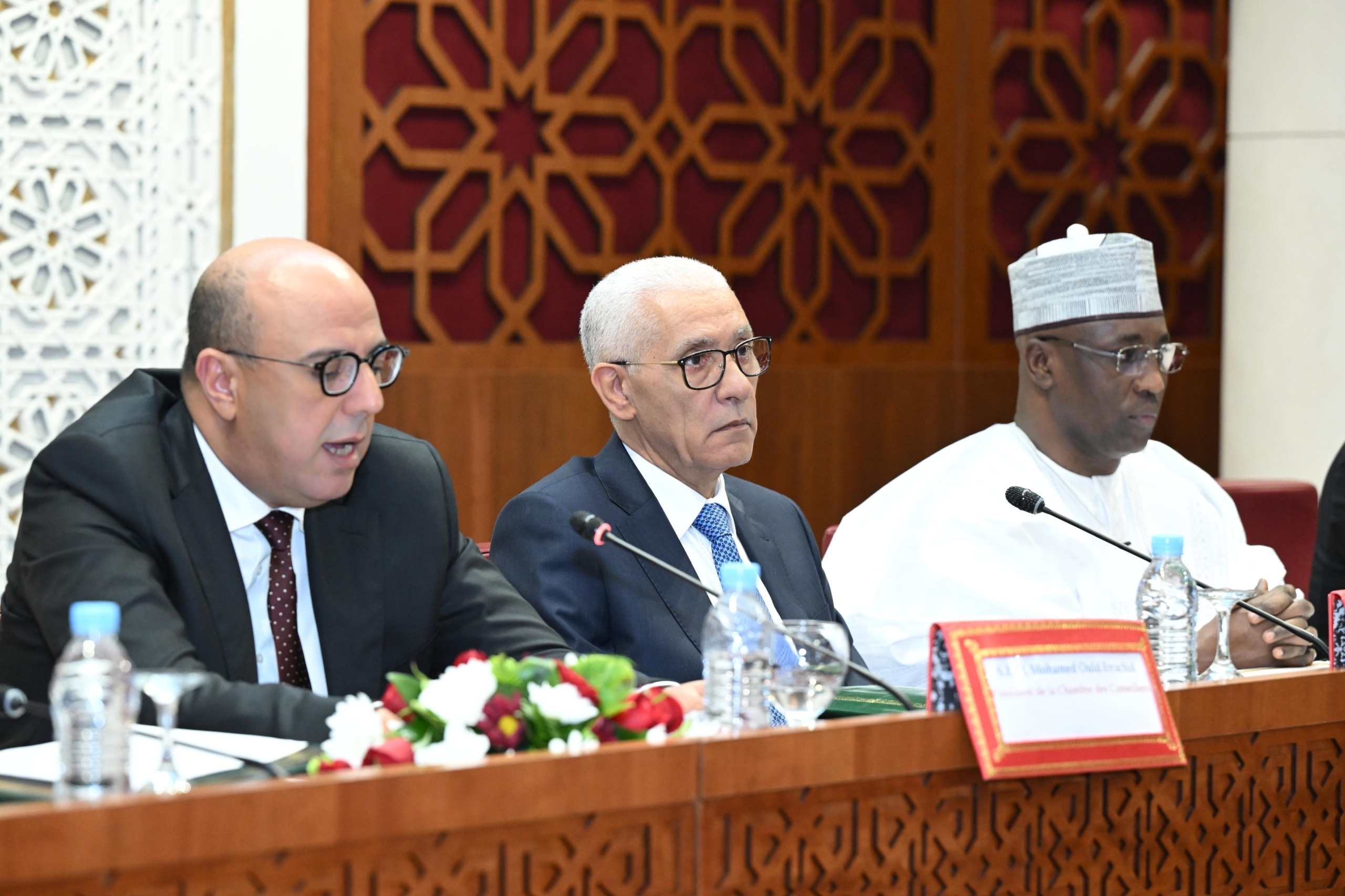 ولد الرشيد: التعاون الإفريقي أولوية استراتيجية للمغرب ومشاريعه تترجم إيمانه بوحدة المصير