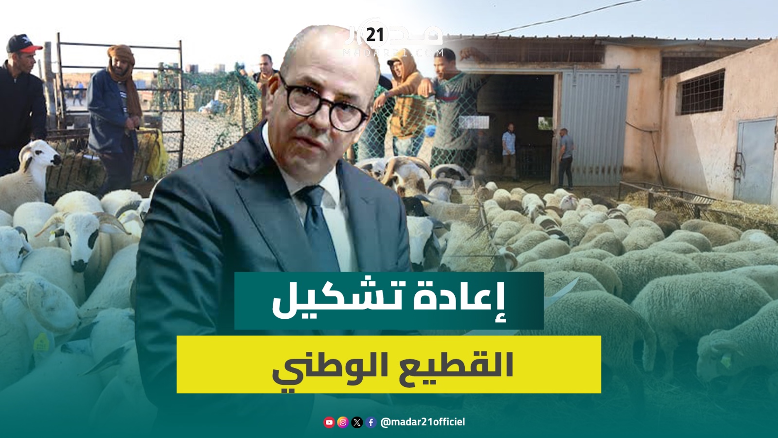 الحكومة تفرج على تفاصيل برنامج دعم “الكسابة” وتعيد جدولة ديون مربي الماشية