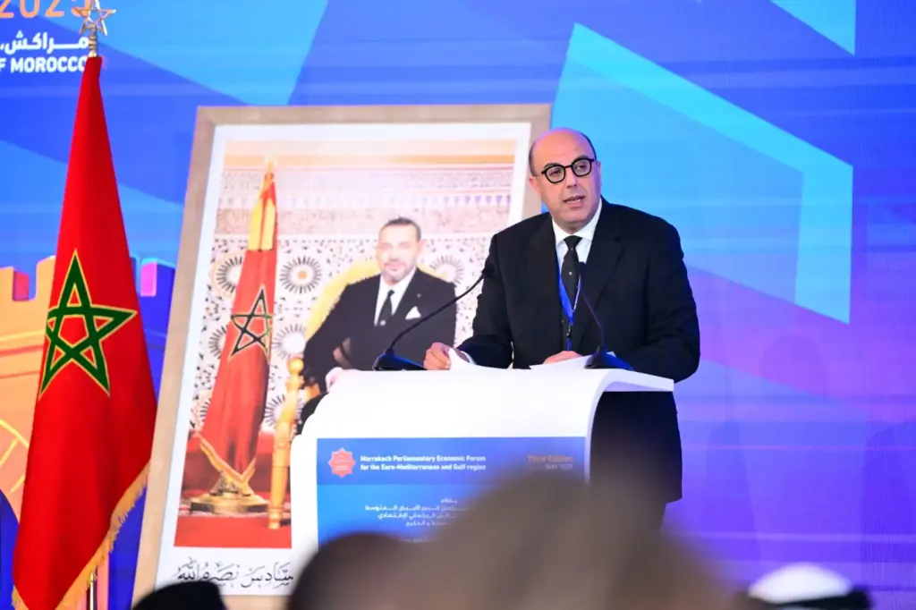 ولد الرشيد: المبادرة الأطلسية تُنوِّع الاقتصادات الإفريقية والتنمية تقضي على الانفصال