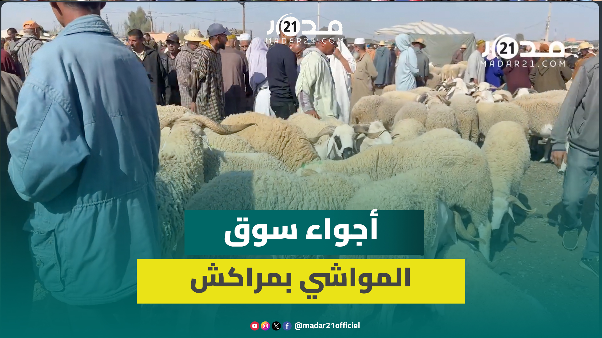 رغم شائعات الإغلاق.. حركية عادية بسوق المواشي بمراكش قبل عيد الأضحى والأسعار تحافظ على انخفاضها