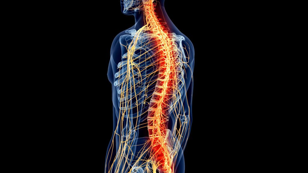 تقنية مبتكرة لعلاج إصابات النخاع الشوكي