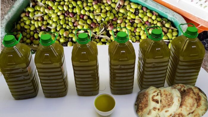 تتويج دولي لمنتجين مغاربة لزيت الزيتون