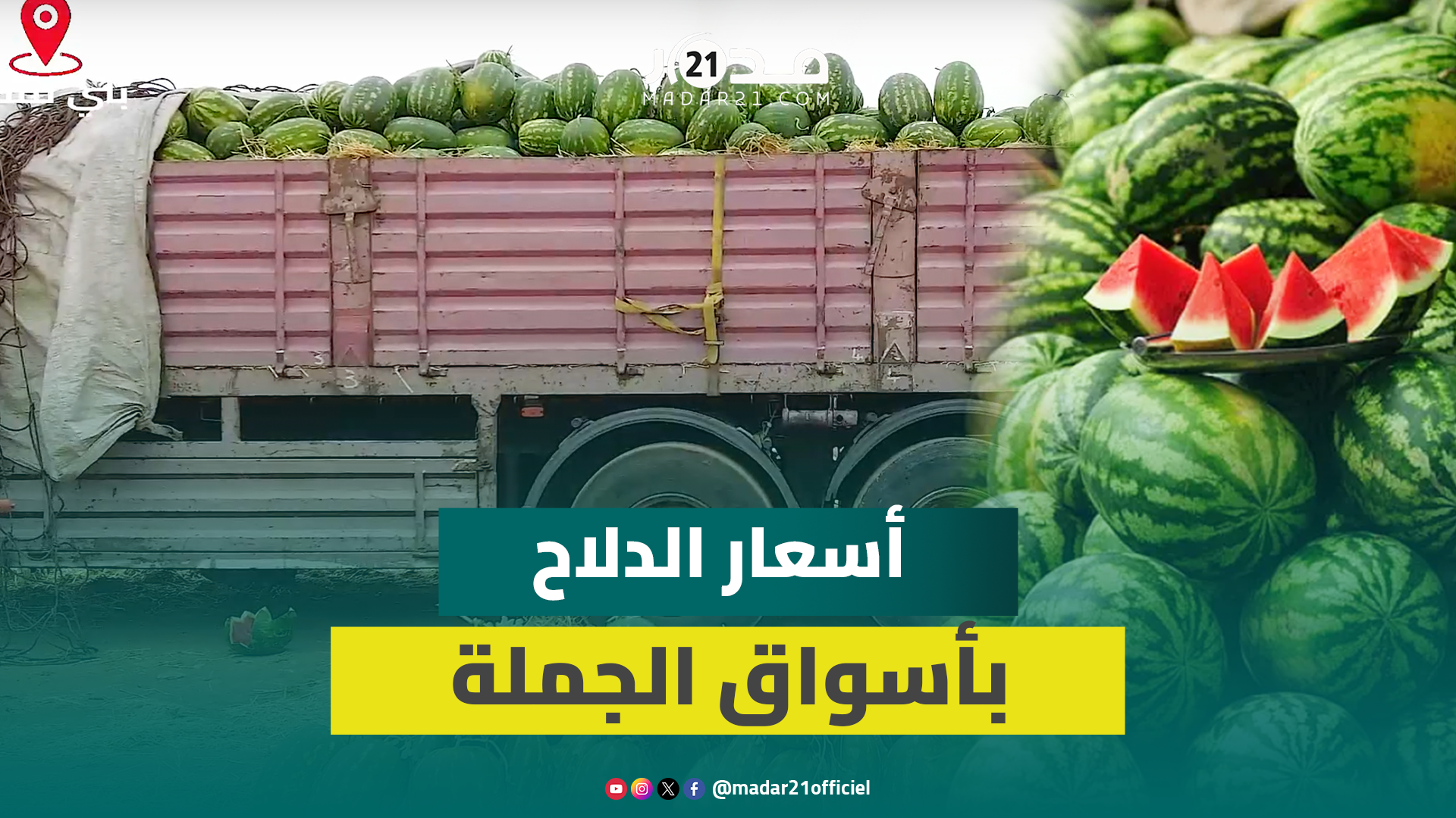 رغم تضرر محاصيل زاكورة.. عرض وفير للدلاح ببني ملال وتجار: الثمن مناسب والتسمم مجرد شائعات