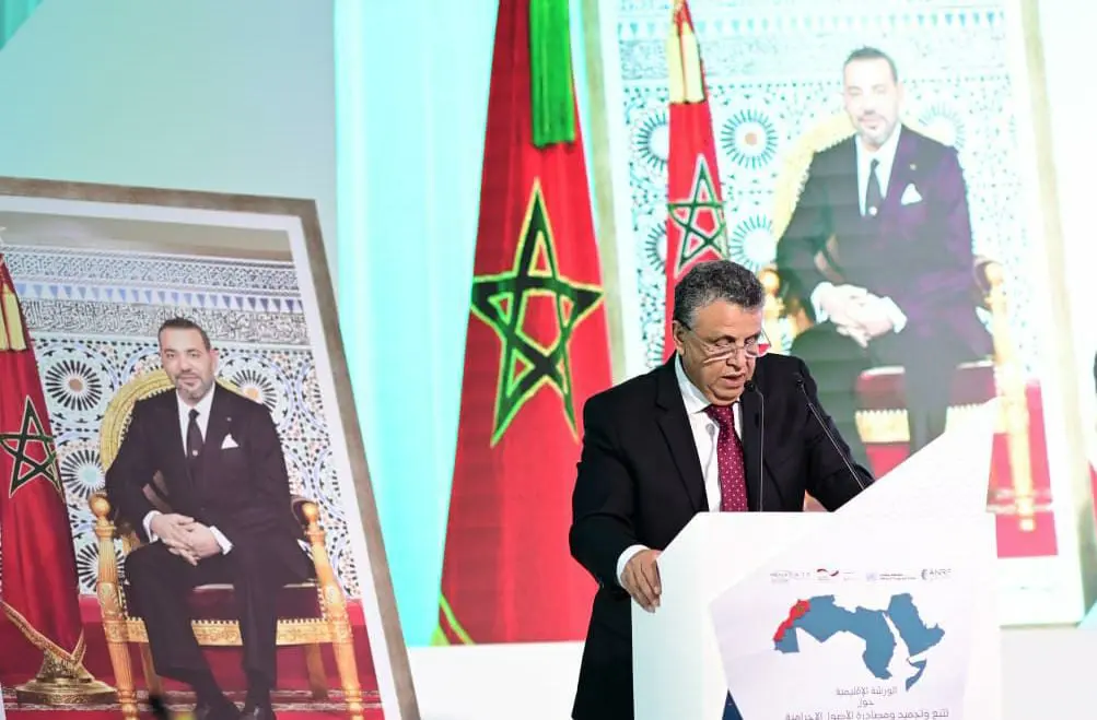 وهبي يعلن قرب إحداث وكالة تخفف العبء عن القضاء بقضايا غسل الأموال