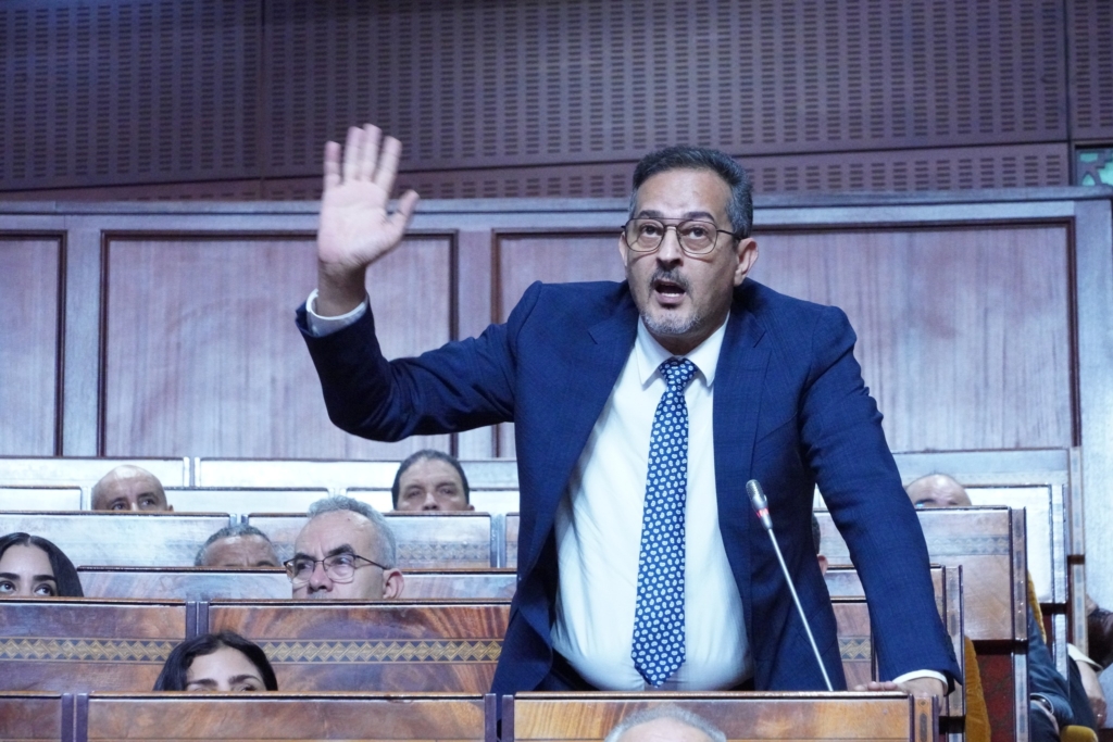 اعتراض المهاجري على إبداء رأي الحكومة بمقترحات قوانين يثير جدلا دستوريا