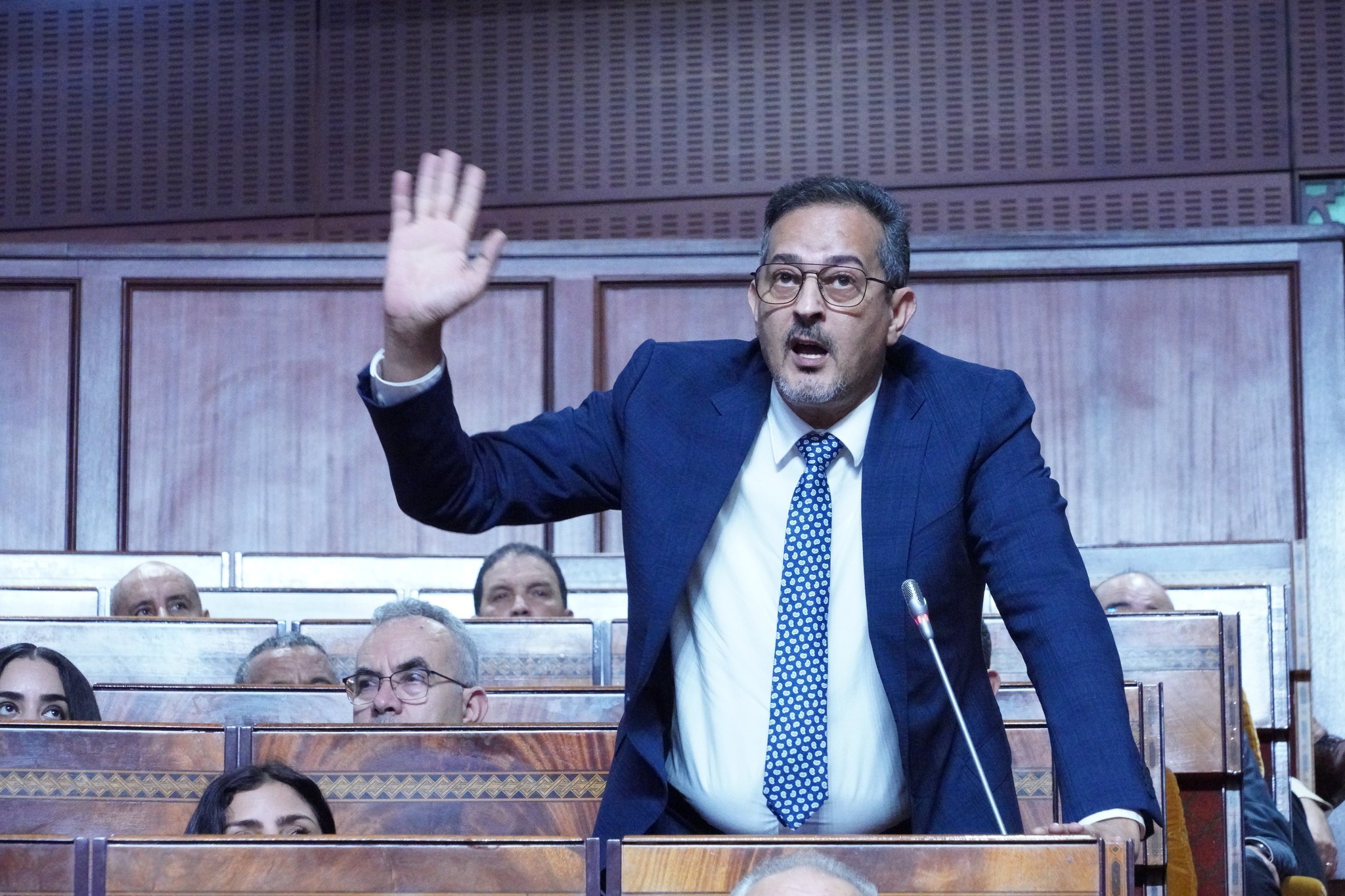 اعتراض المهاجري على إبداء رأي الحكومة بمقترحات قوانين يثير جدلا دستوريا
