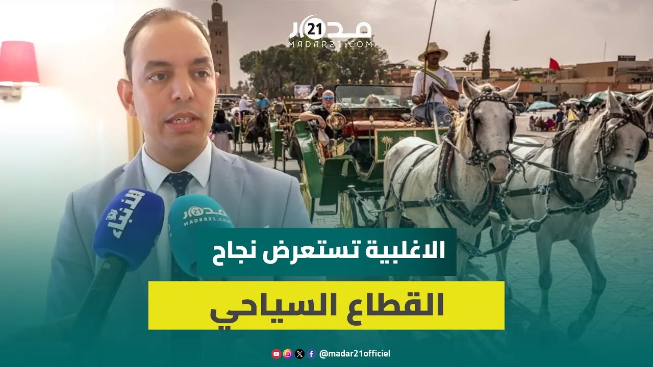 برلماني من الأغلبية: الحكومة أخرجت السياحة من الأزمة والقطاع حقق نجاح كبير وأرقام قياسية