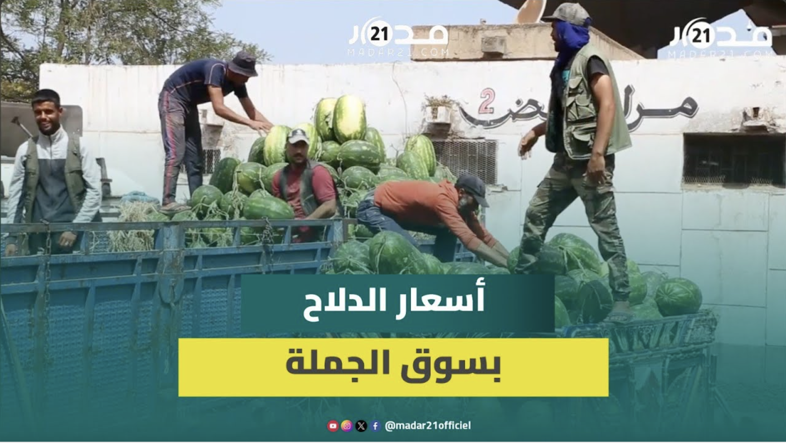 تجار الجملة بالبيضاء يؤكدون وفرة الدلاح وجودته ويفسرون أسباب تذبذب الأسعار