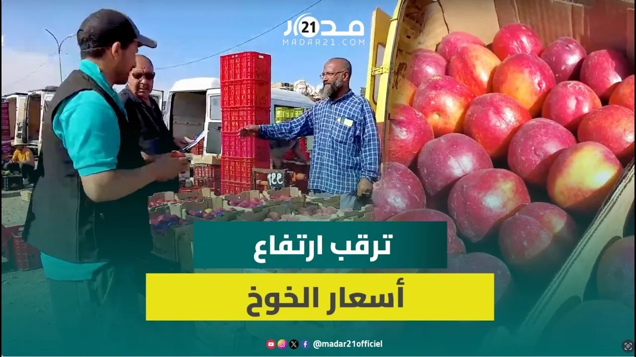 أسعاره تصل 20 درهماً للكيلوغرام.. تجار بالتقسيط يتوقعون ارتفاع أسعار الخوخ خلال الأسابيع المقبل